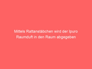 Mittels Rattanstäbchen wird der Ipuro Raumduft in den Raum abgegeben 1